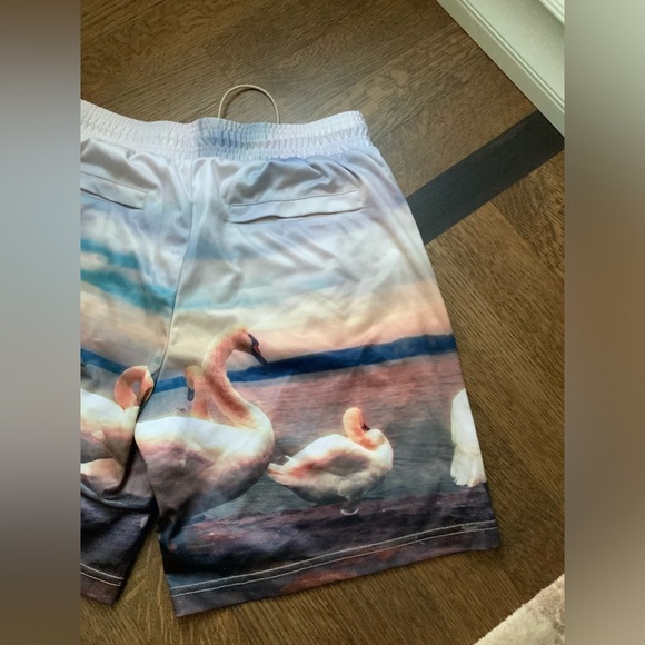 WELL KNOWN STUDIOS The Swan Family Shorts 7”  Men’s Size Large Street Wear NEW - Picture 13 of 13